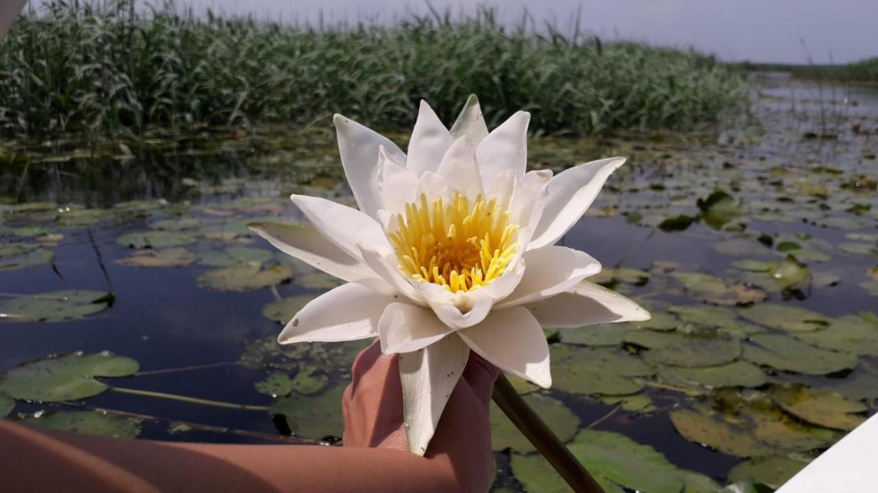 Delta MAYANKA Mineri Buitenkant foto