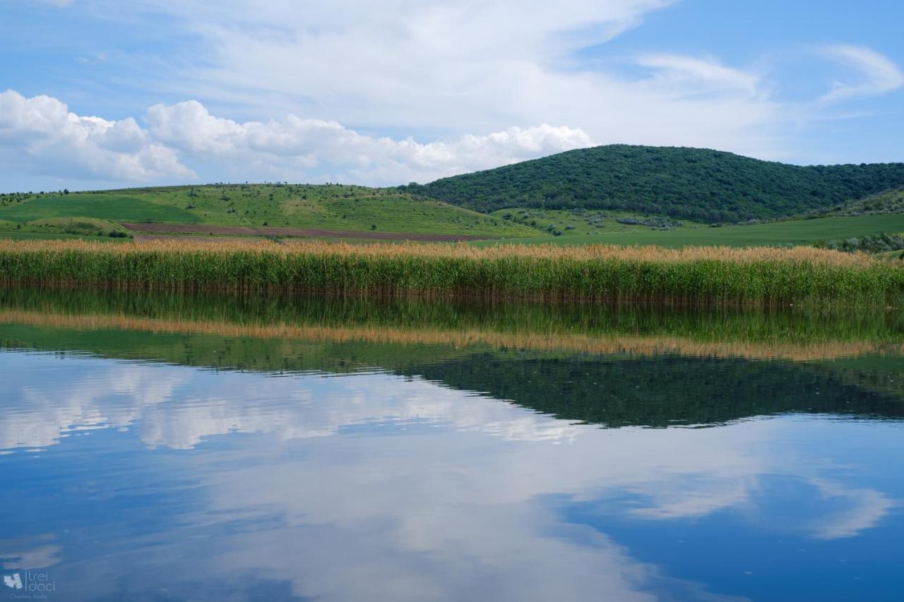 Delta MAYANKA Mineri Buitenkant foto